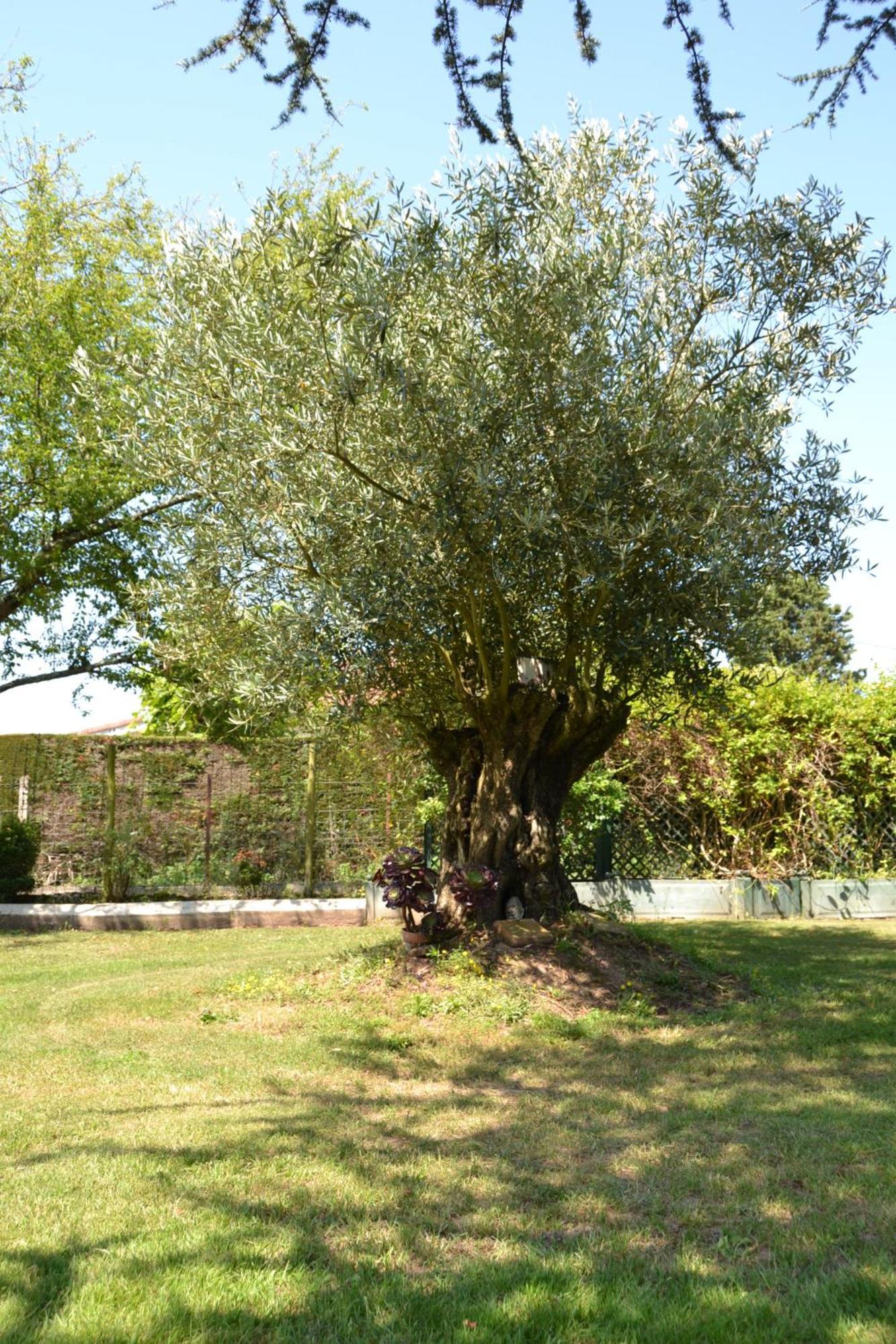 Le Gite De La Lombriere Saint-Denis-de-Pile Ngoại thất bức ảnh